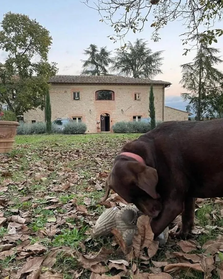 Agriturismo La Segolina Villa Colle Val D'Elsa 0*,
