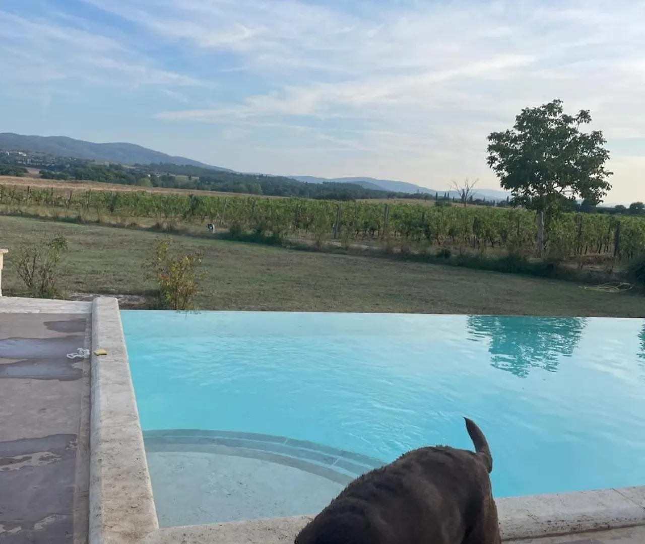Agriturismo La Segolina Colle di Val d'Elsa Feriegård