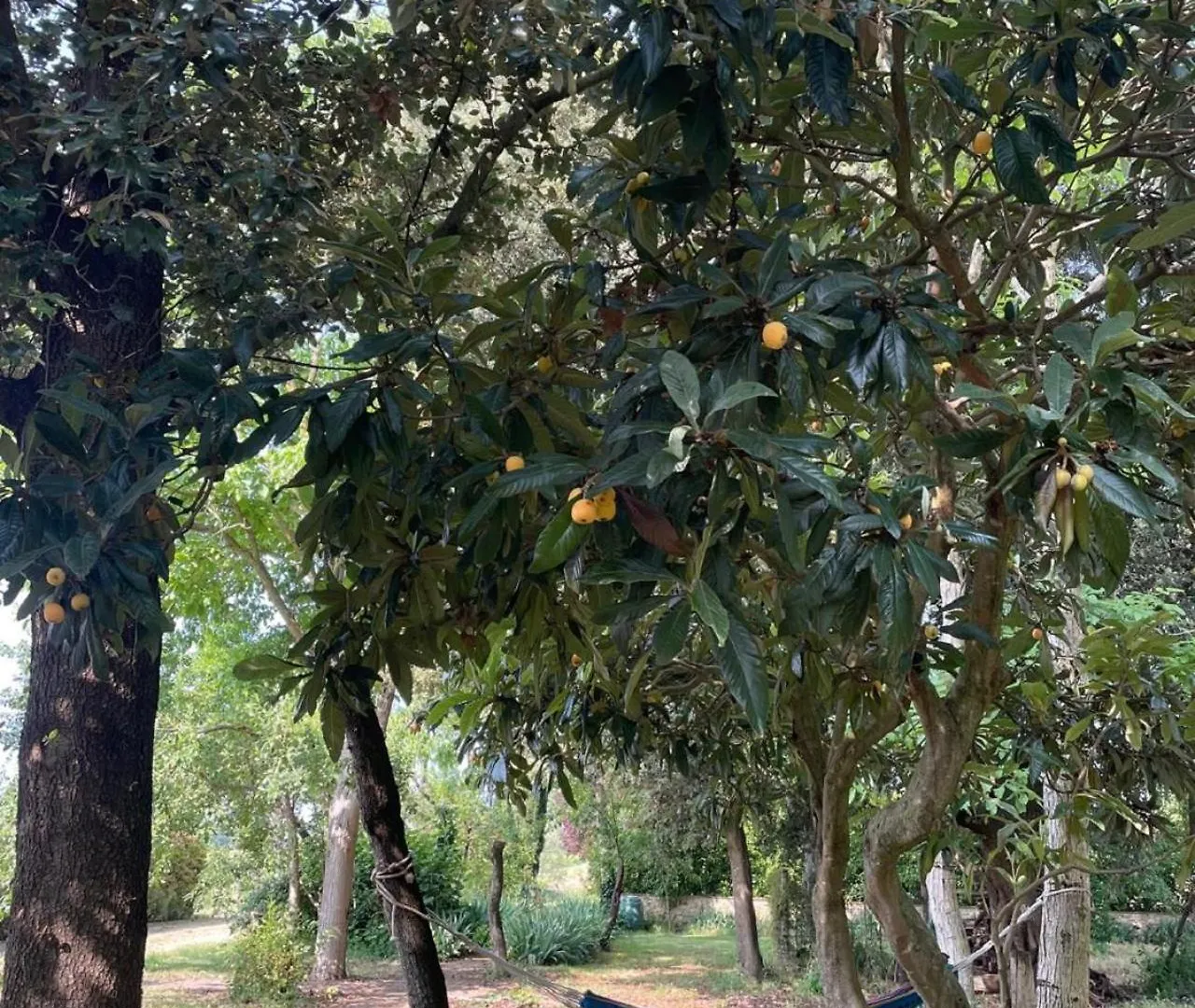 Feriegård Agriturismo La Segolina Colle di Val d'Elsa Italien