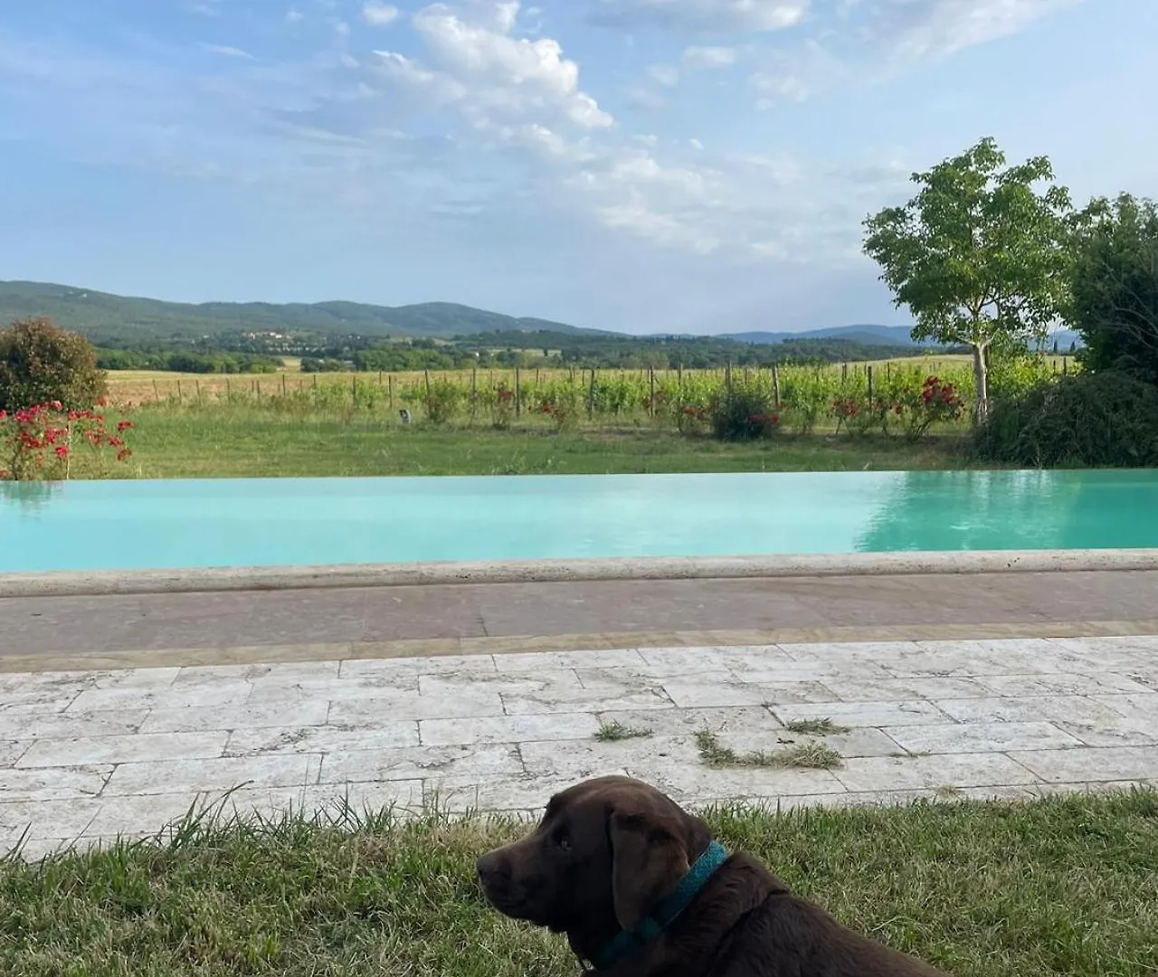 Agriturismo La Segolina Colle di Val d'Elsa Feriegård