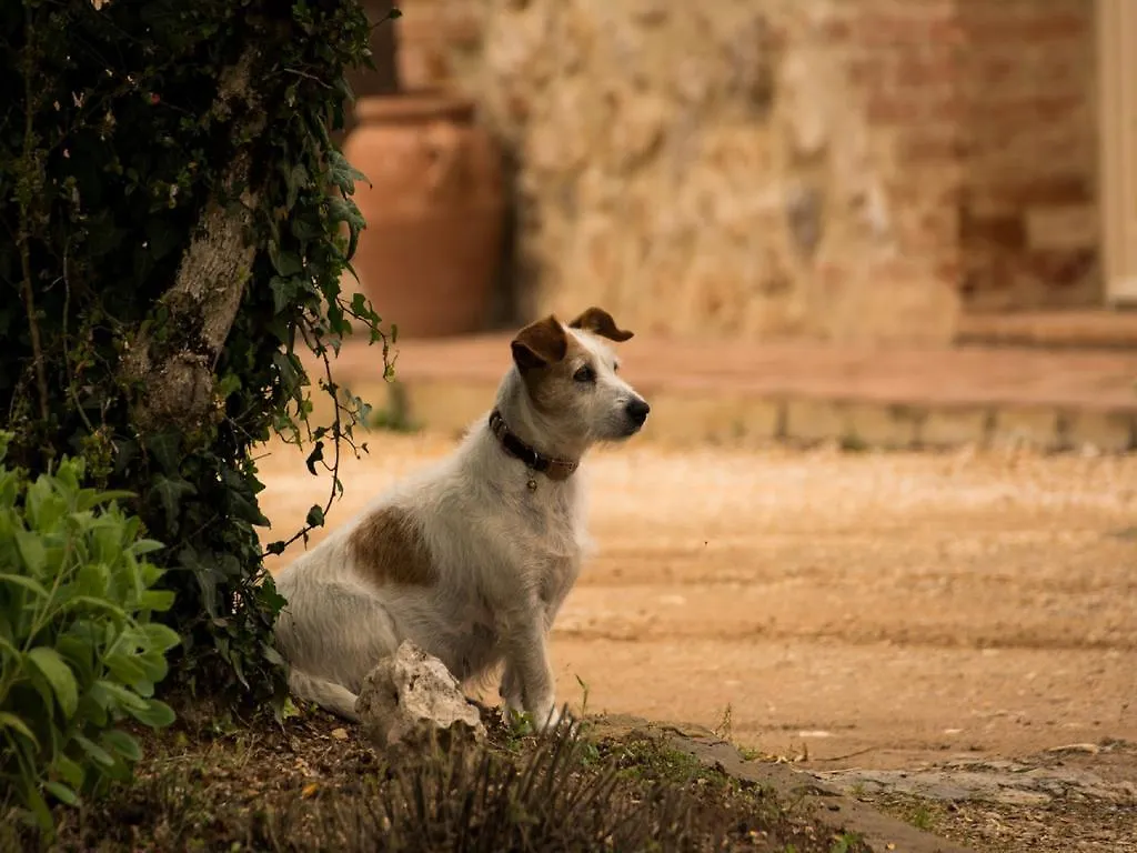 Feriegård Agriturismo La Segolina Colle di Val d'Elsa